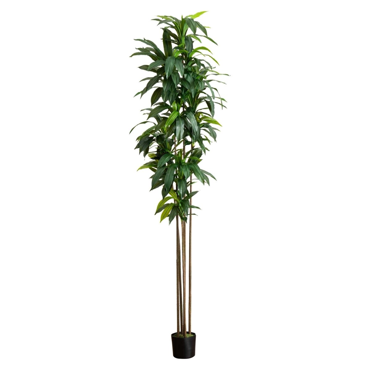 10-ft Artificial Dracaena Tree With Real Touch Leaves