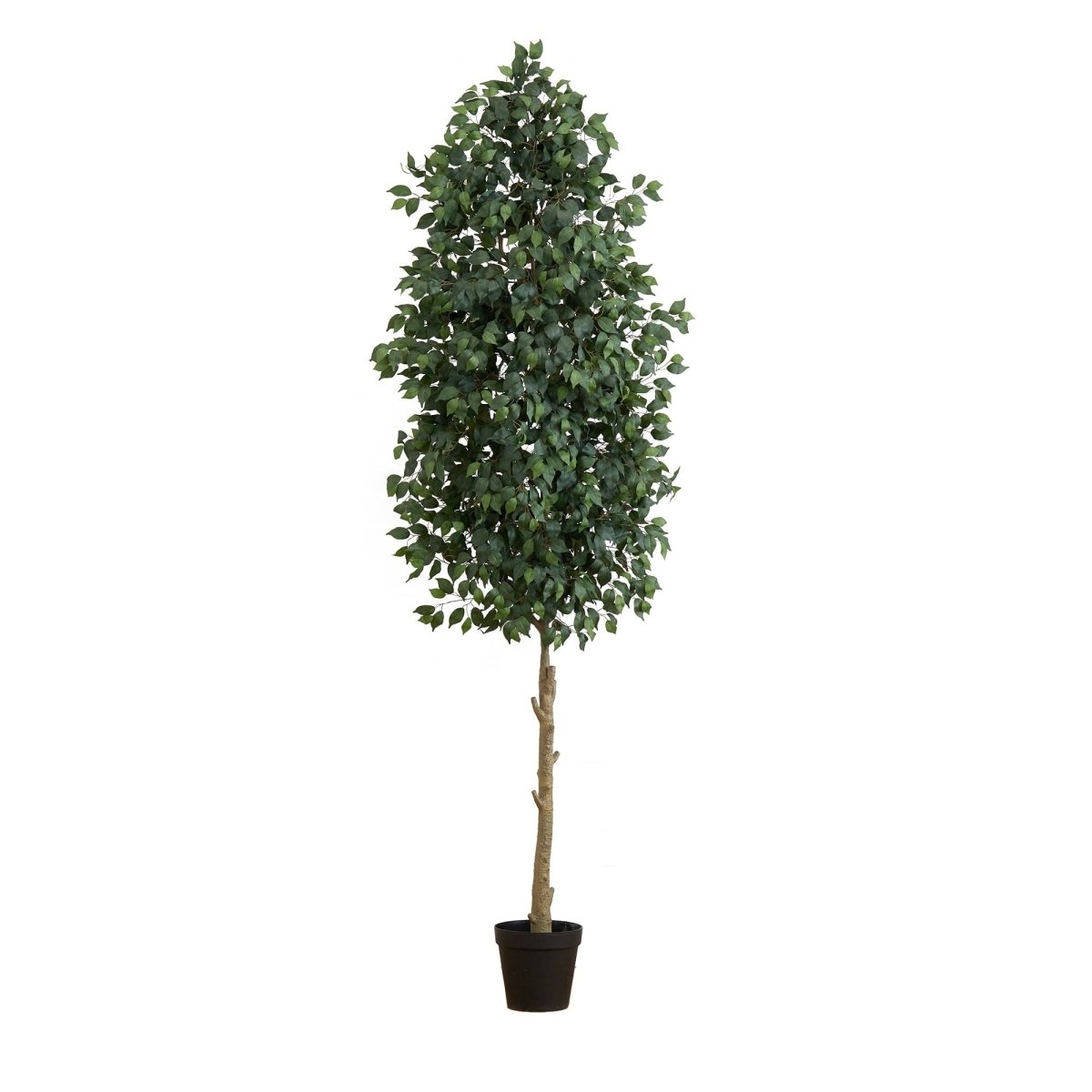 10-ft Faux Ficus Tree | Lifelike Indoor Tree – Ed's Plant Shop