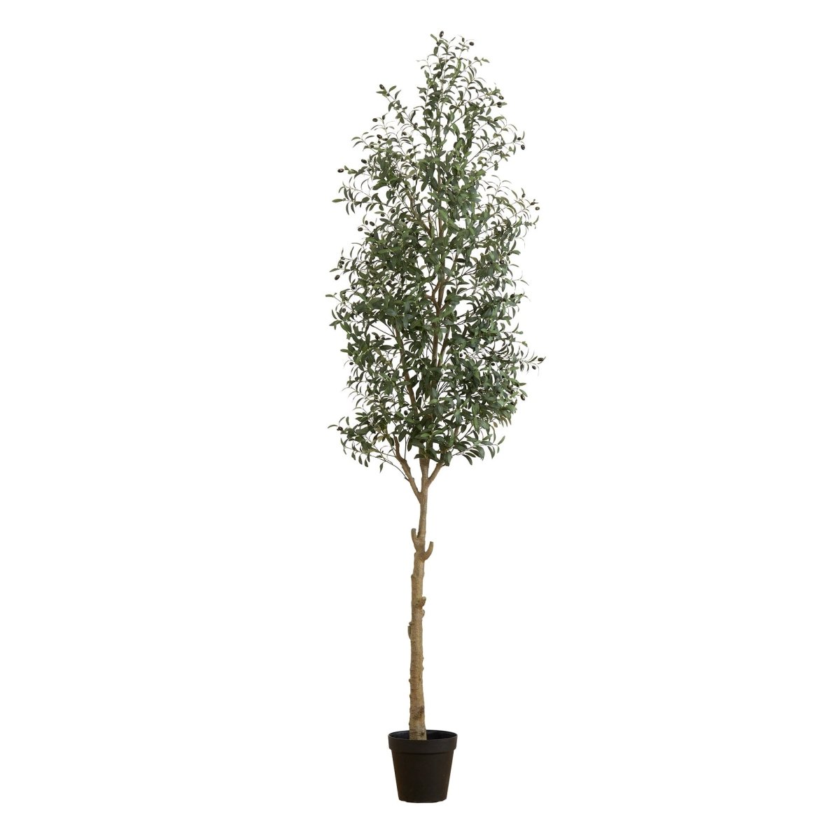 10-ft Faux Olive Tree | Mediterranean-Inspired Decor – Ed's Plant Shop