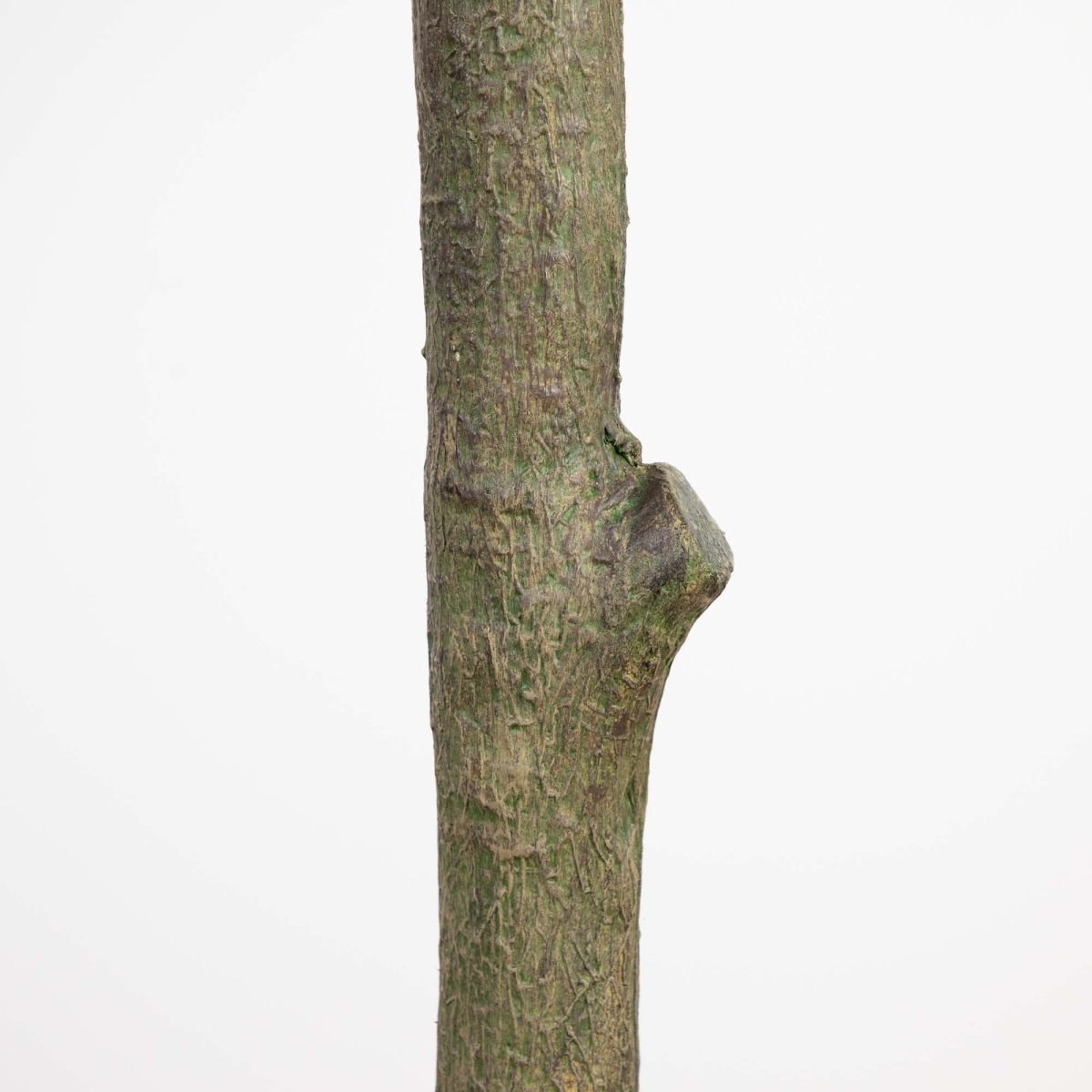 13-ft Giant Artificial Olive Tree
