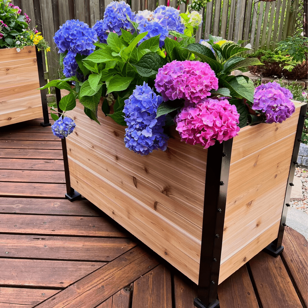18" X 36" Cedar Planter Box – 24" Tall Raised Garden Bed