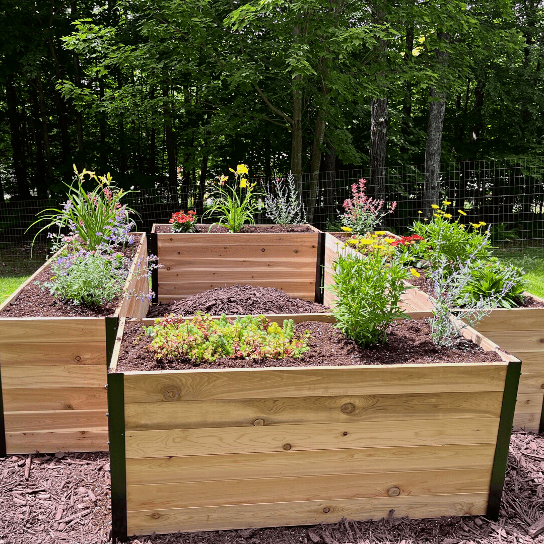18" X 48" Cedar Planter Box – 24" Tall | Food-Safe Elevated Garden Bed