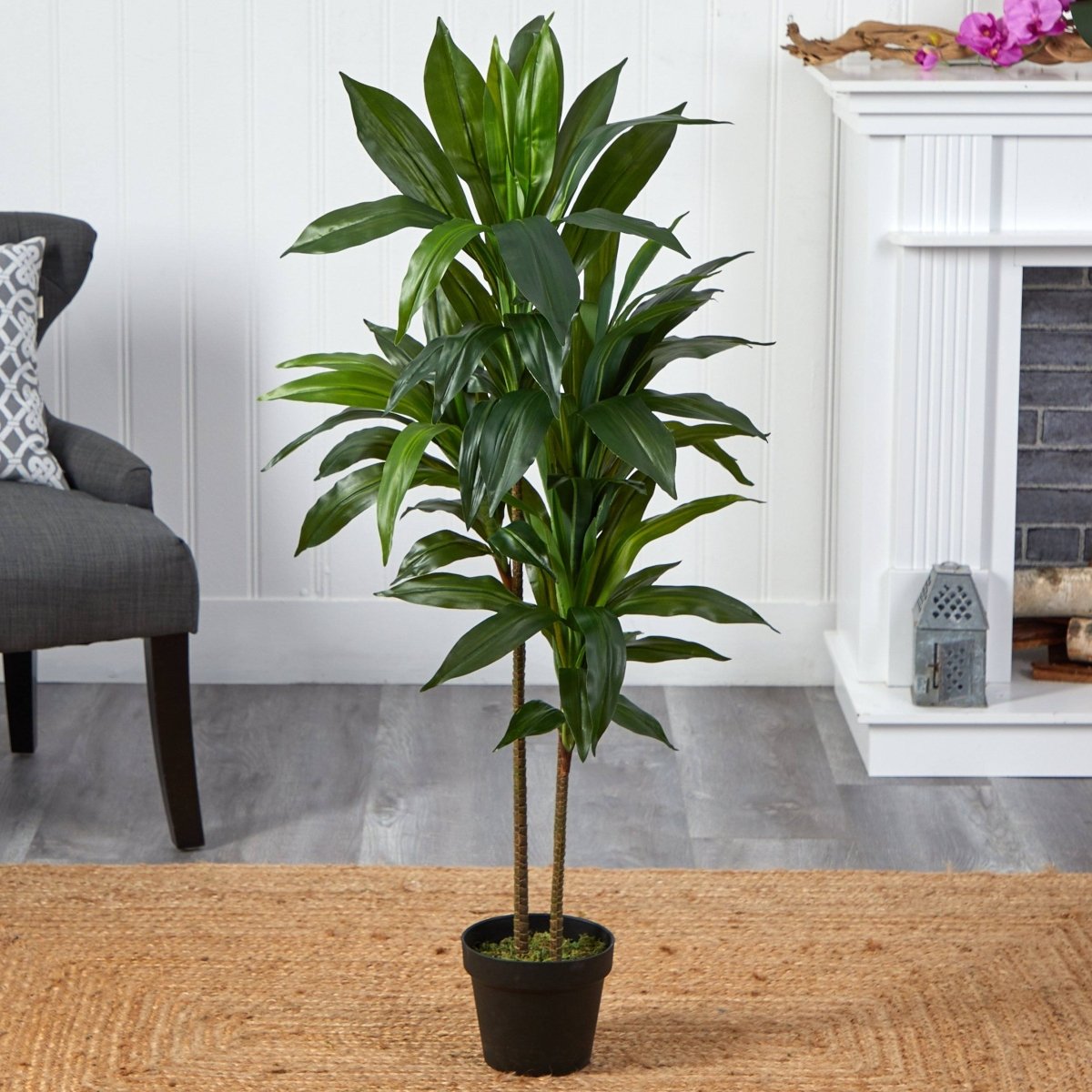 48-in Dracaena Silk Plant (Real Touch)