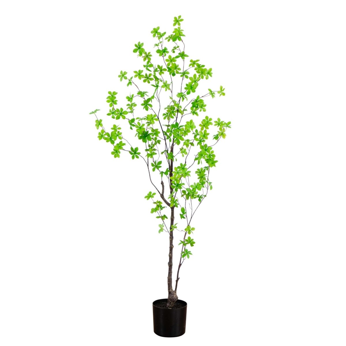 5-ft Artificial Minimalist Enkianthus Tree