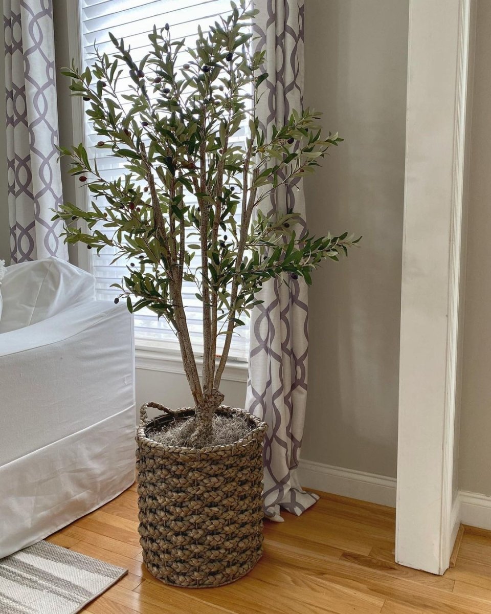 5-ft Mediterranean Olive Silk Tree – Lifelike Faux Foliage In Nursery Planter