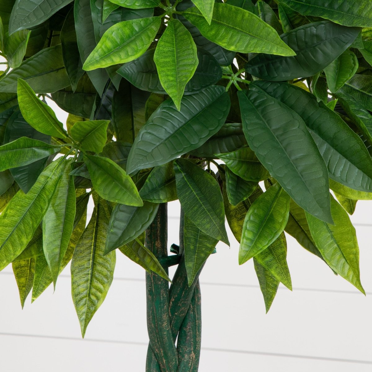 5.5-ft Artificial Money Tree In Gray Cylinder Planter (Real Touch)