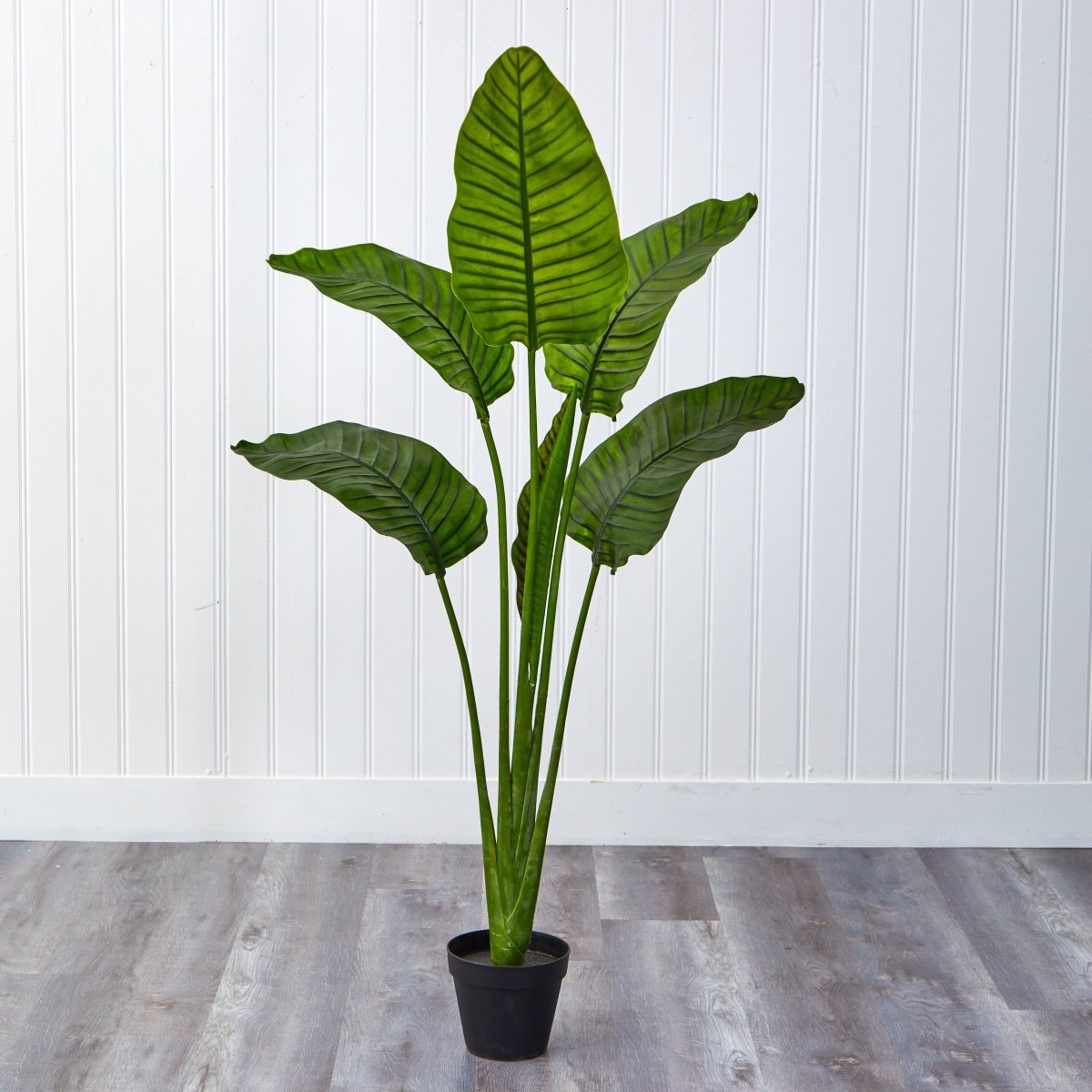 64-in Travelers Palm Tree – UV Resistant (Indoor/Outdoor)