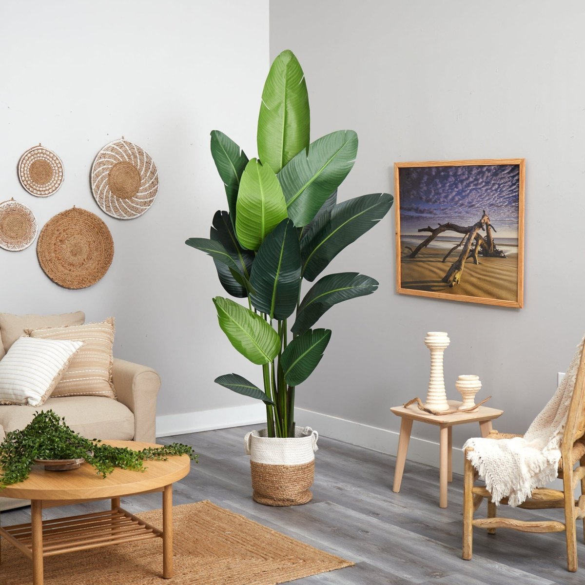 7-ft Artificial Travelers Palm Tree With Handmade Jute & Cotton Basket