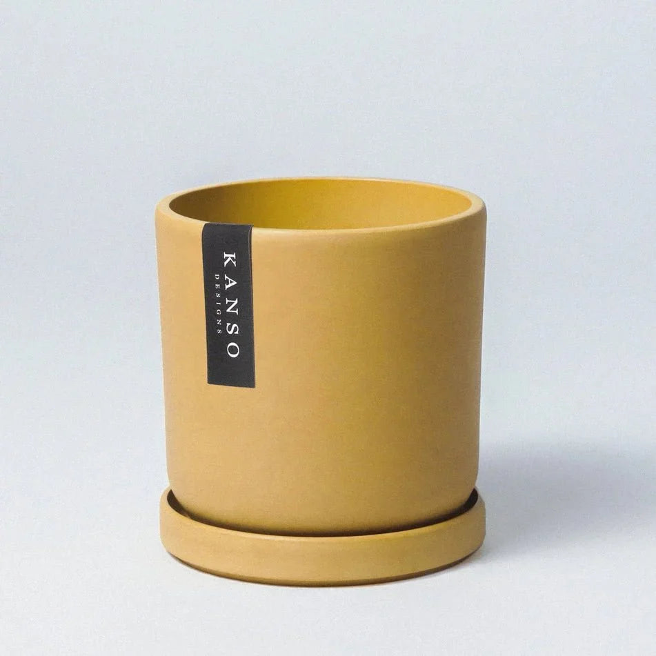 7 Inch Upcycled Signature Stone Planter Pot & Saucer