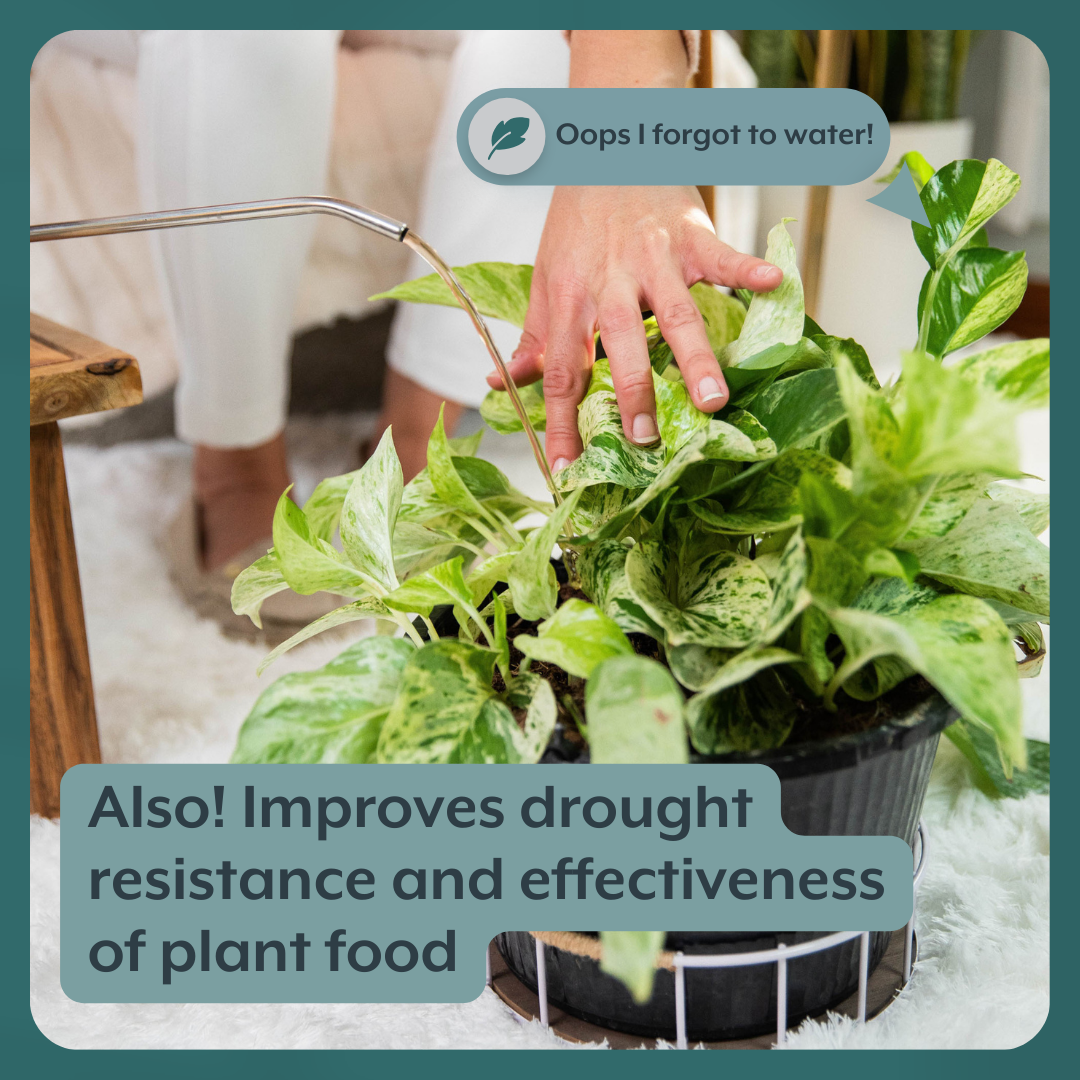 Thrive Bundle (Online Only) (Plant Food + Probiotics) For HOUSEPLANTS