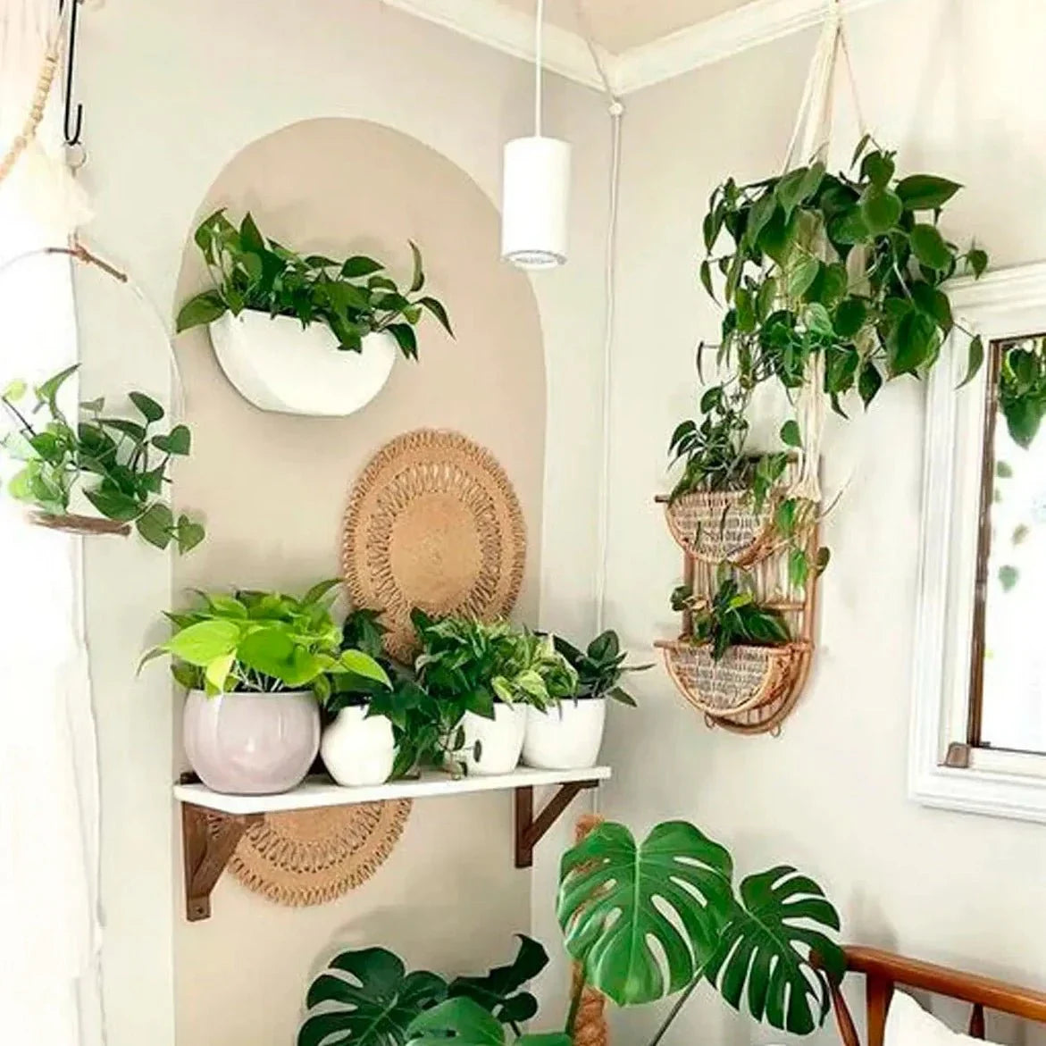 Aspect Growlight | Pendant Style LED Indoor Plant Light