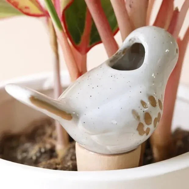 Bird Plant Self Watering Spike