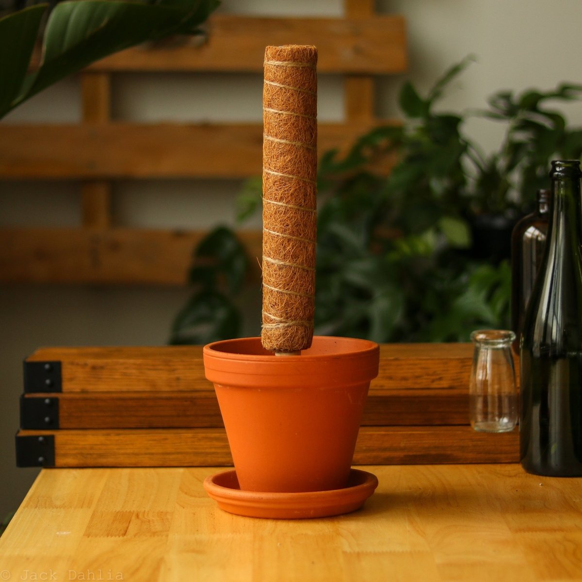 Coir Moss Totem Pole