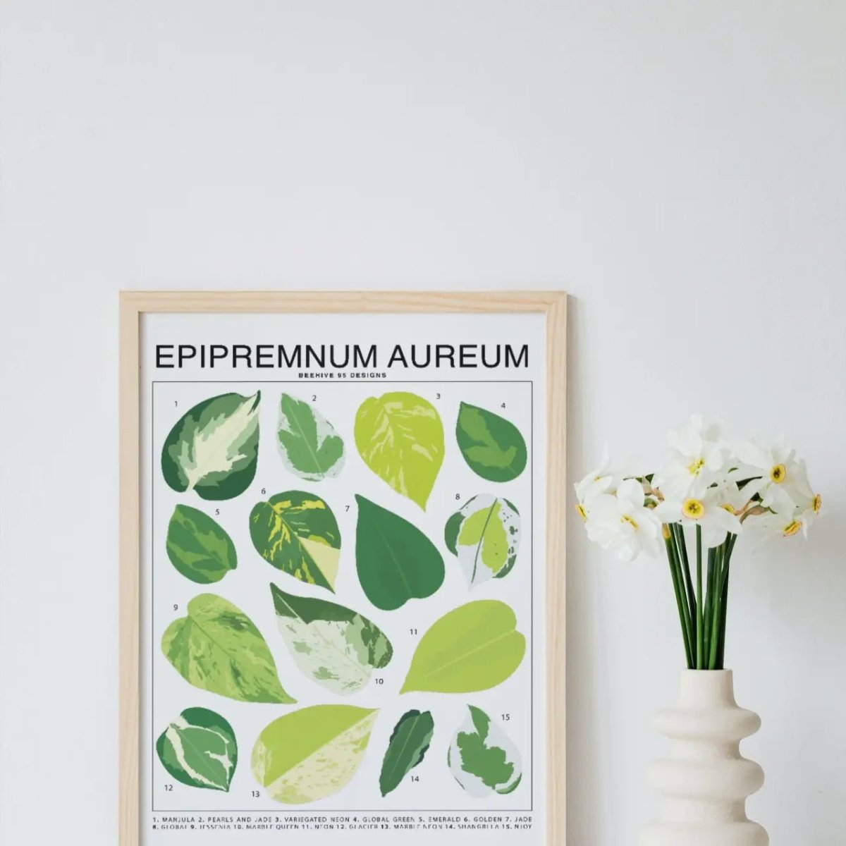 Epipremnum Aureum (Pothos) ID Chart Houseplant Art Print