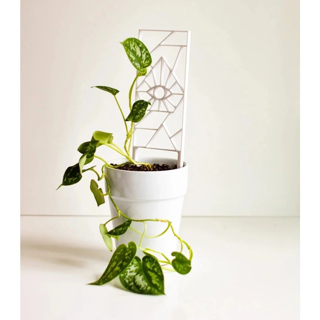 Evil Eye Houseplant Trellis