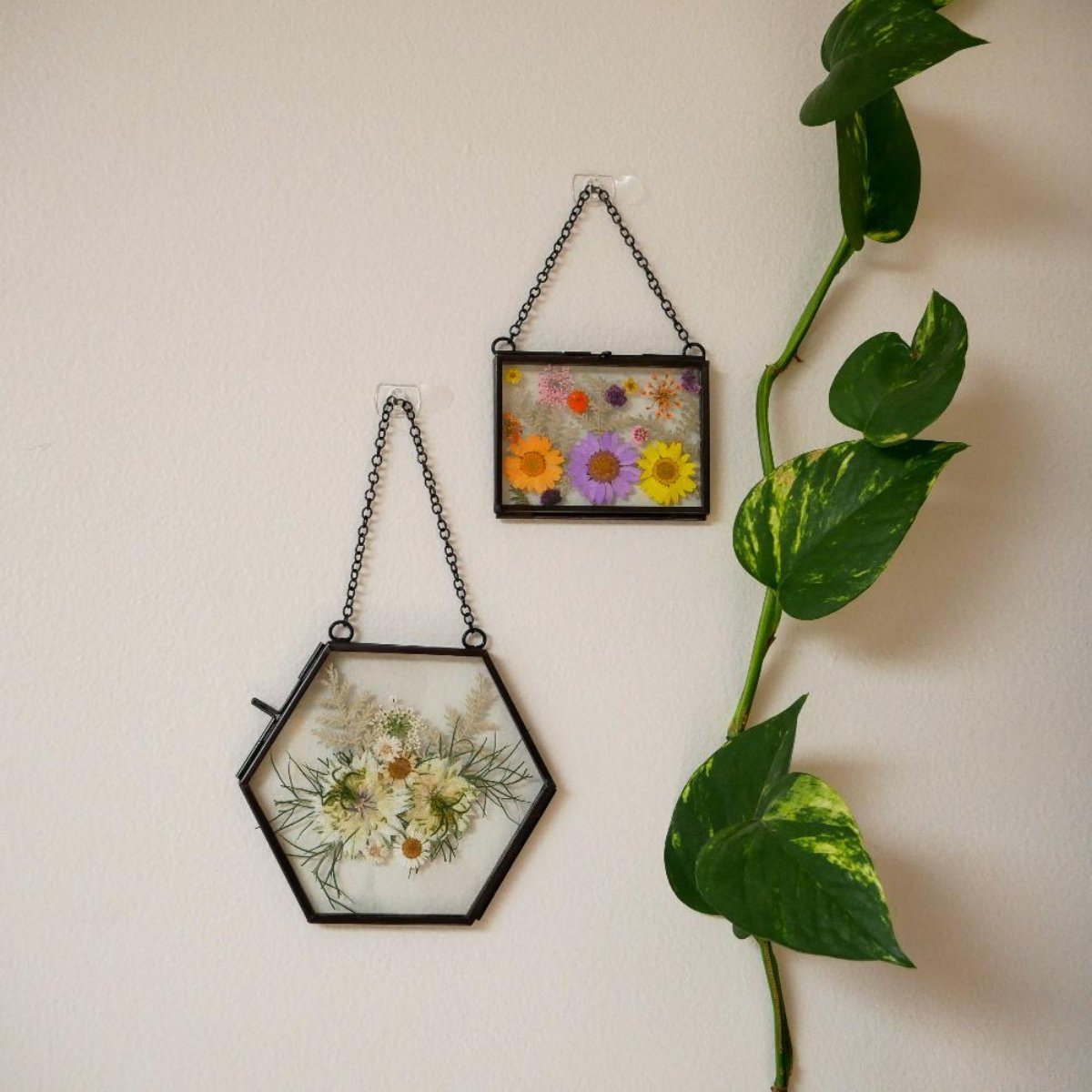 Framed Pressed Flowers Kit