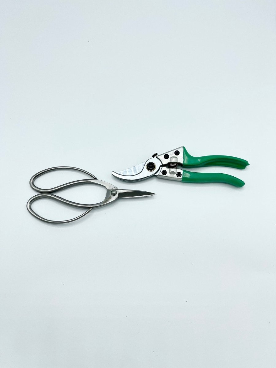 Garden Gift Box - The Sharps (Pruners, Scissors And Belt)