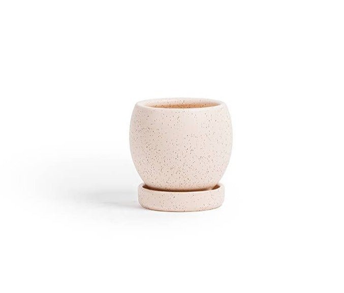 Gemstone Bollé Pot With Water Saucer 4.5 Inch