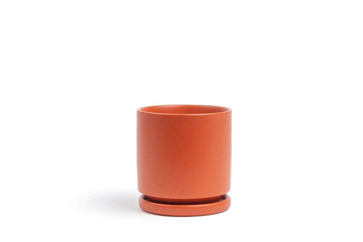 Gemstone Porcelain Planter Pot With Water Saucer 10.5 Inch