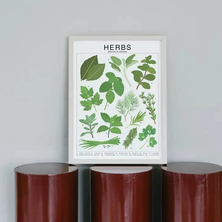 Herbs Species ID Chart - Botanical Garden Art Print