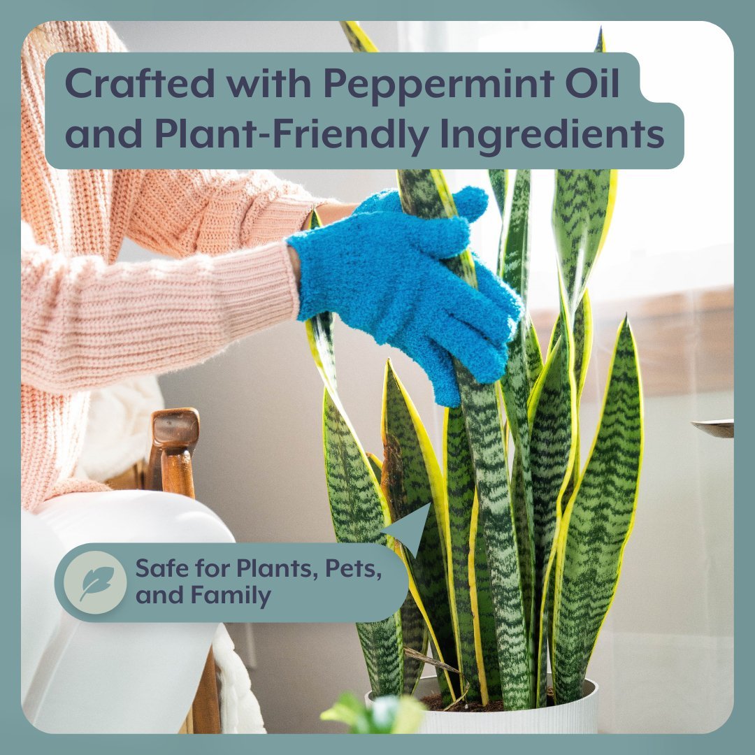 Instant Plant Food- Complete Plant Care Bundle For HOUSEPLANTS