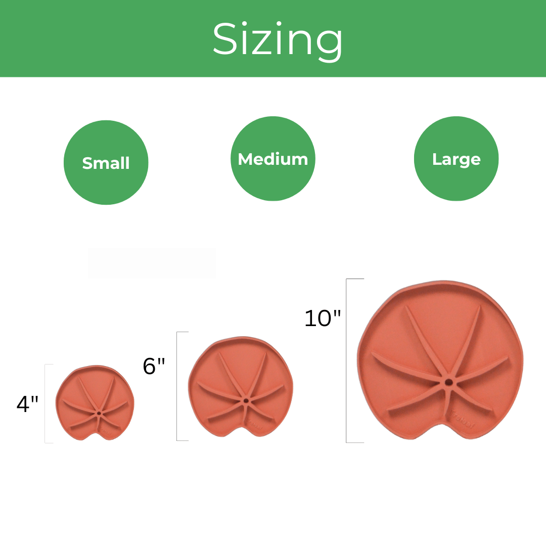 Lili Saucer – Stylish Lily Pad Plant Saucer For Drainage, Root Rot Prevention & Humidity