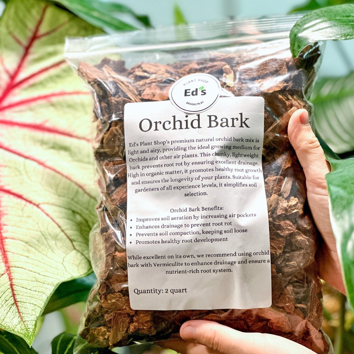 Orchid Bark: Lightweight Substrate For Orchids