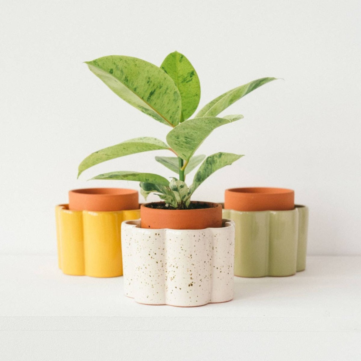 Paula Self Watering Planter Pot - Mustard Yellow