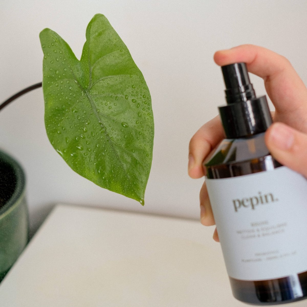 Pepin Cleaning Brume | Plant-Friendly Cleaning Mist With Probiotics
