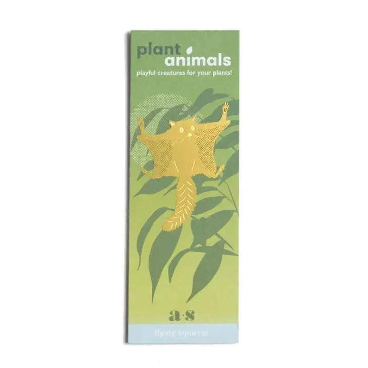 Plant Animal - Flying Squirrel