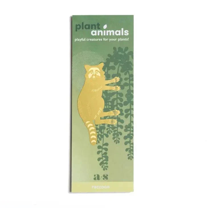 Plant Animal - Raccoon
