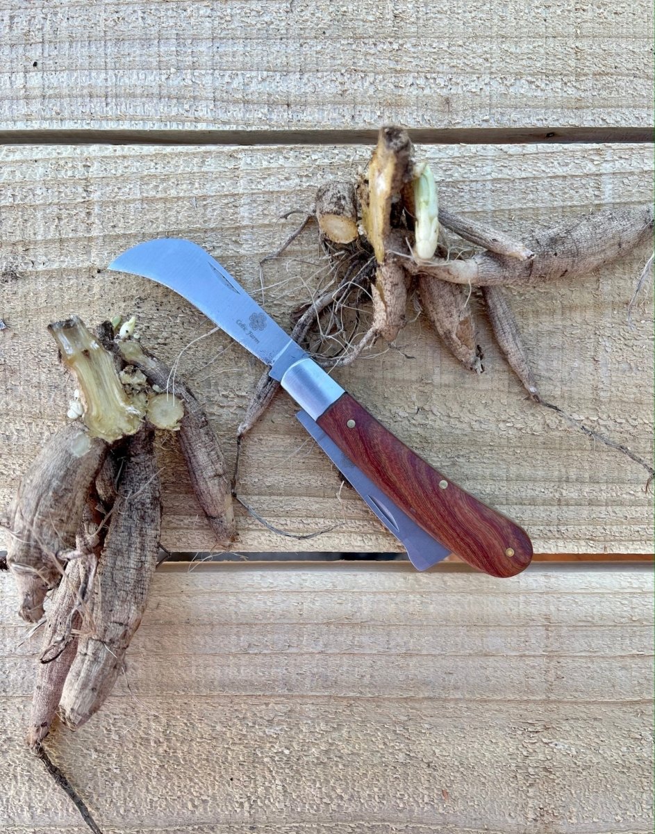 Professional Gardener's Knife - For Pruning, Grafting And Propagation