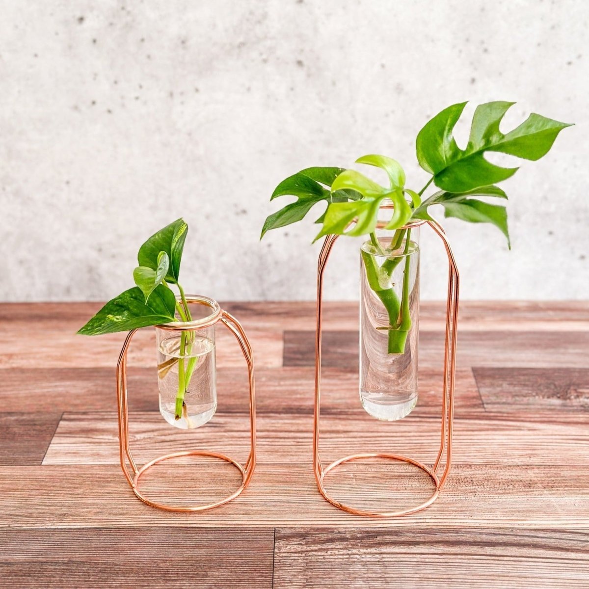 Rose Gold Propagation Station & Vase