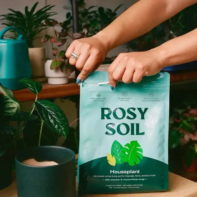 Rosy Soil Organic Indoor Potting Mix- Houseplant 8qt.