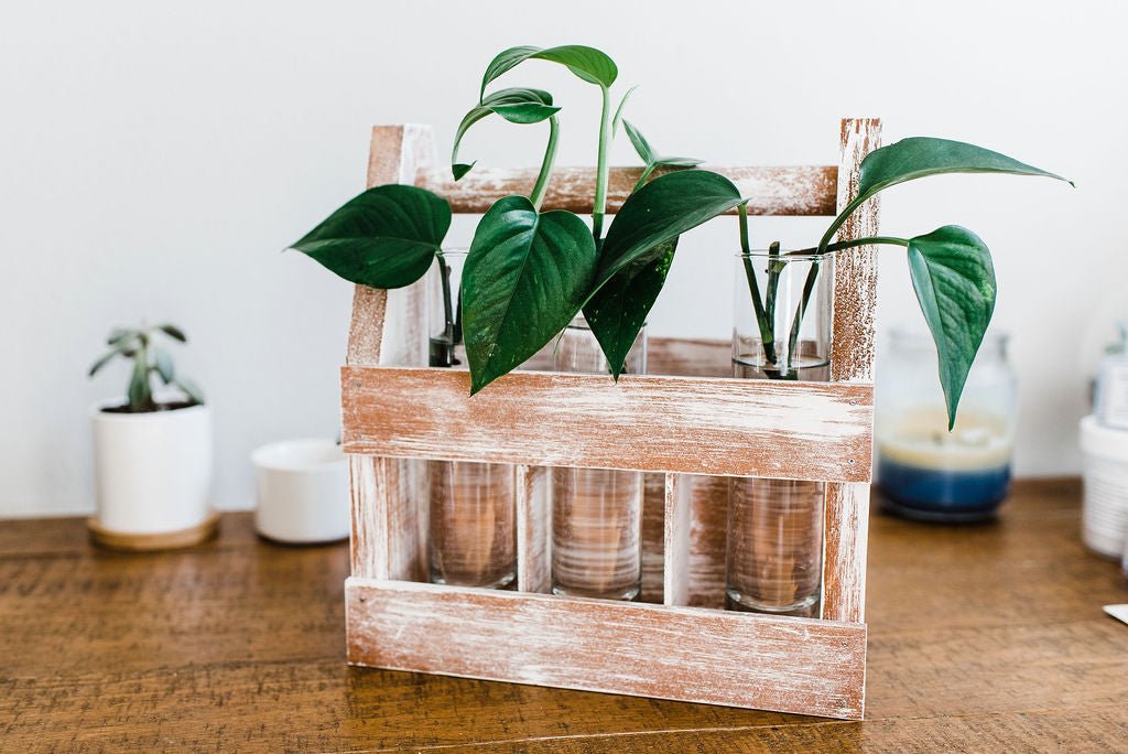 Rustic DIY Weathered Wood Caddy Kit – Customizable Home Decor