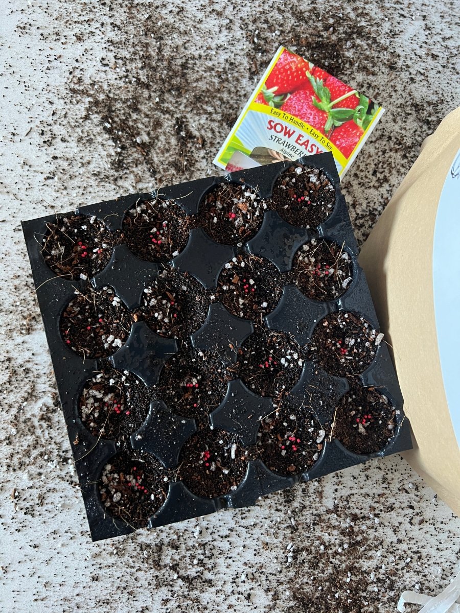 Seedling Mix - Seed Staring Soil For All Seeds