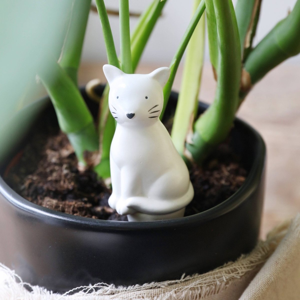 Self Watering Device - Cat
