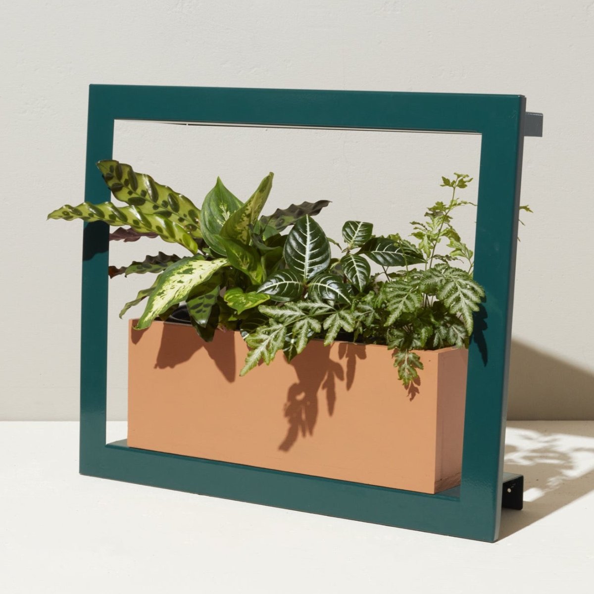 Smart Standard Growframe (Online Only) | Wall-Mountable LED Grow Light Frame