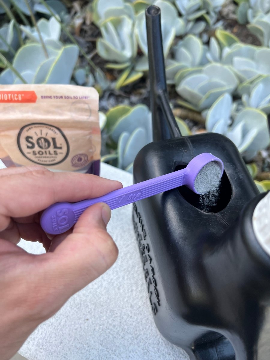 Sol Biotics Purple Powder Spoon – 1 Teaspoon Scoop