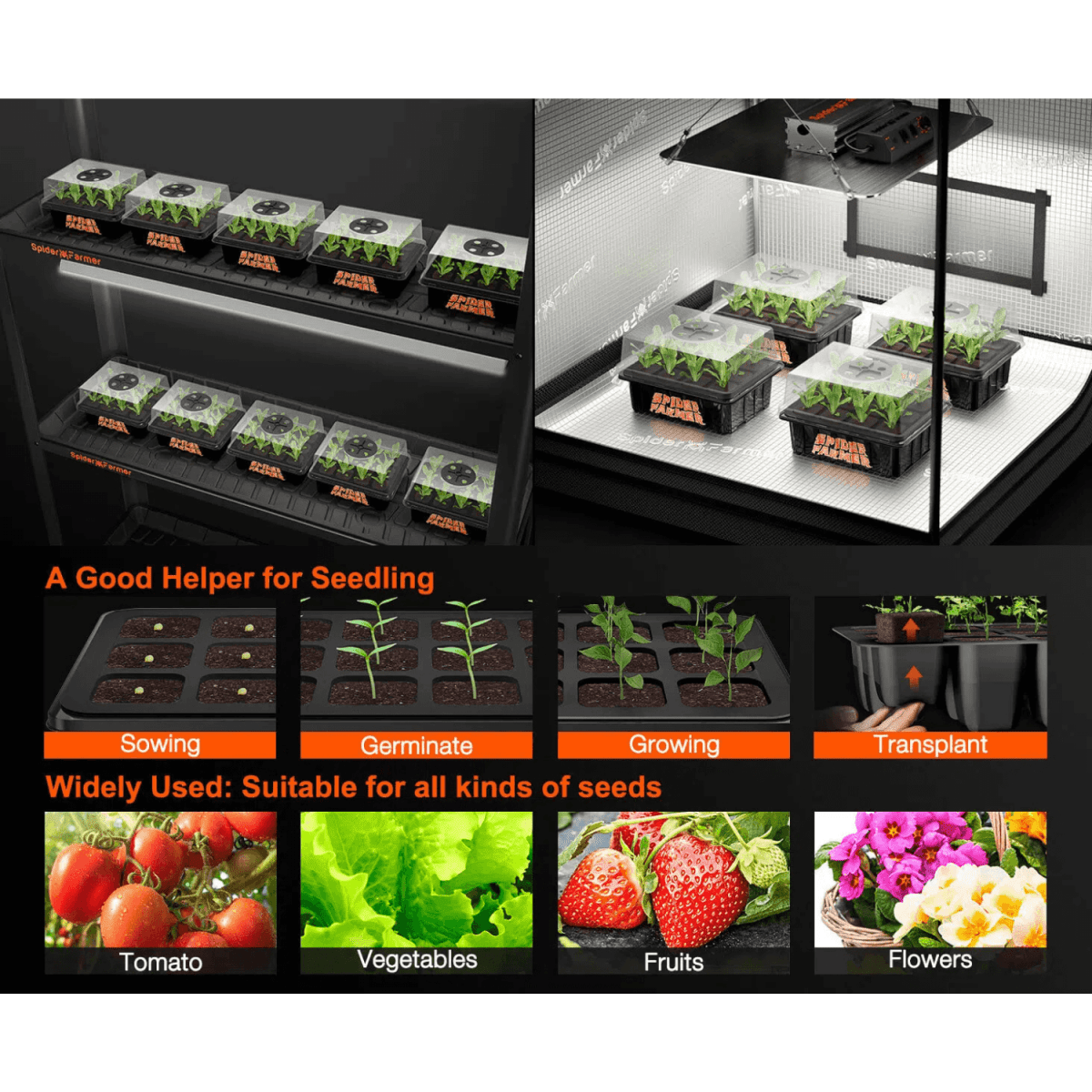 Spider Farmer Seed Starting Trays (4-Pack) | 12-Cell Trays With Domes For Optimal Germination