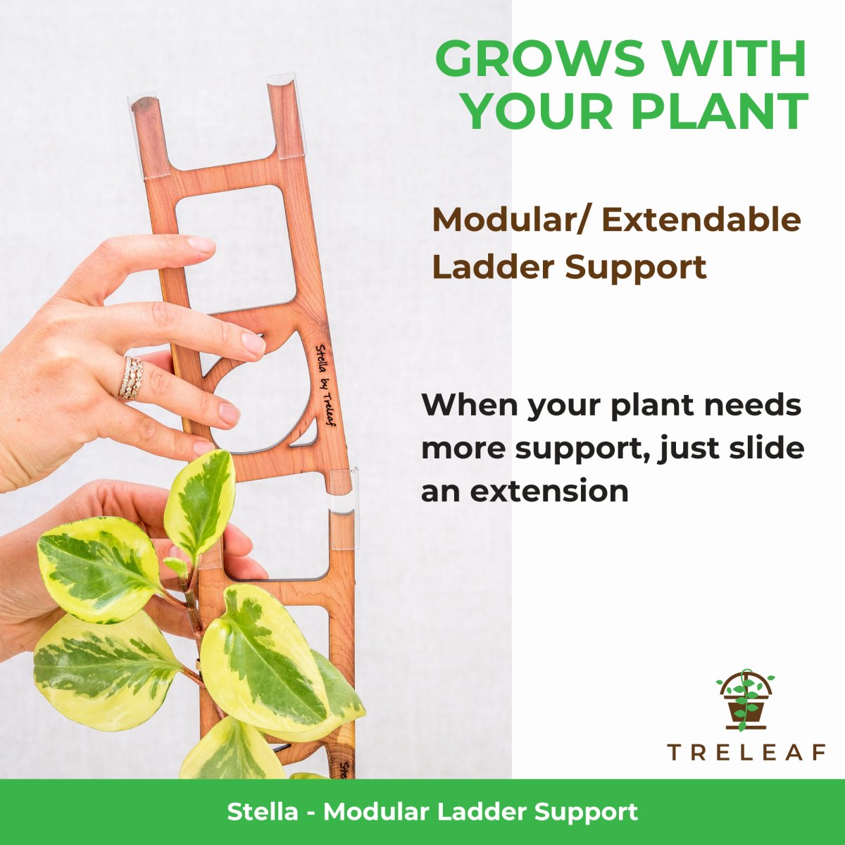 Stella Modular Plant Support & Trellis