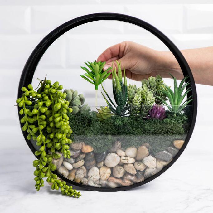 Wall Terrarium Kit | DIY Wall Art With Faux Succulents