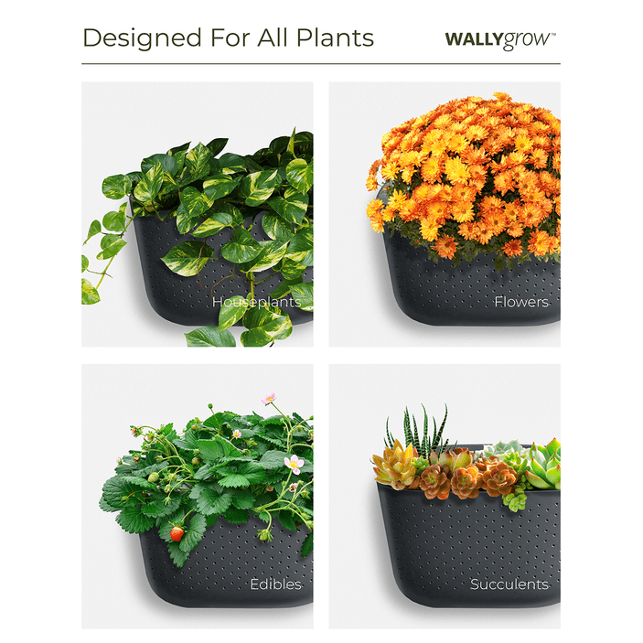 WallyGrow Eco Wall Planter – Teal Vertical Garden Planter For Indoor Walls