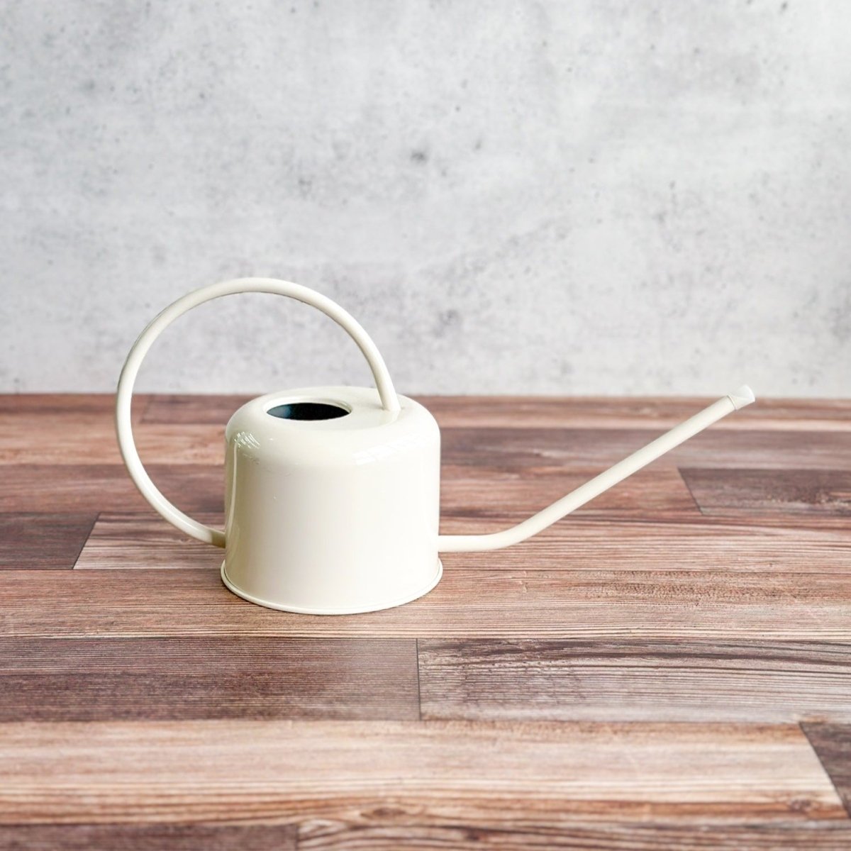  0.9 Liter- PLINT Stainless Steel Watering Can