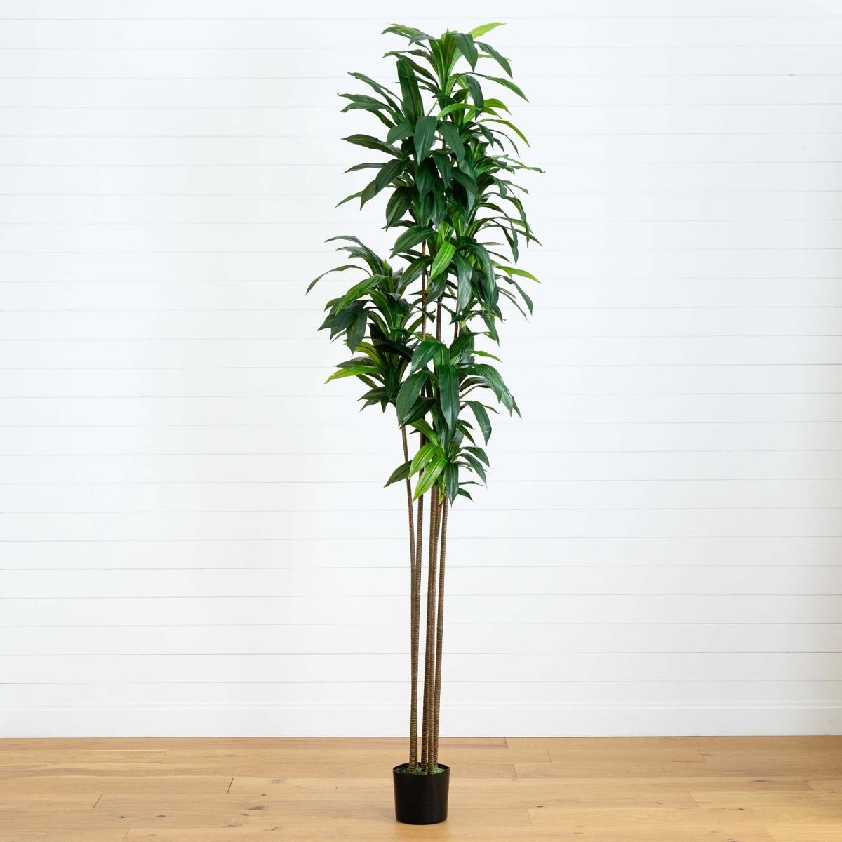  10-ft Artificial Dracaena Tree With Real Touch Leaves