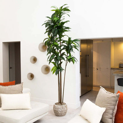  10-ft Artificial Dracaena Tree With Real Touch Leaves