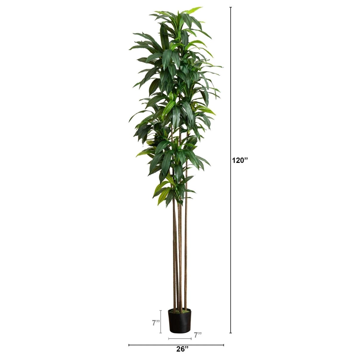  10-ft Artificial Dracaena Tree With Real Touch Leaves