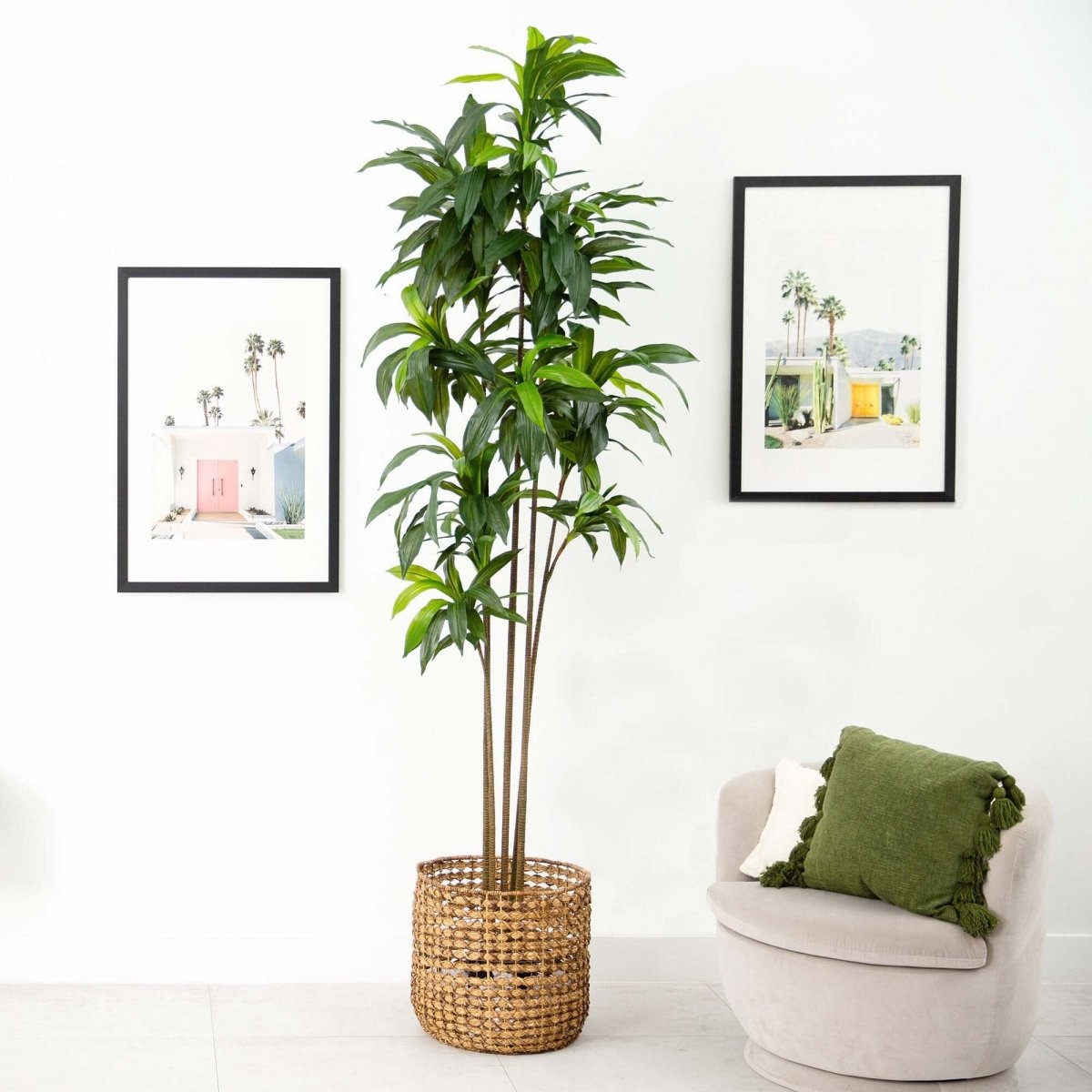  10-ft Artificial Dracaena Tree With Real Touch Leaves