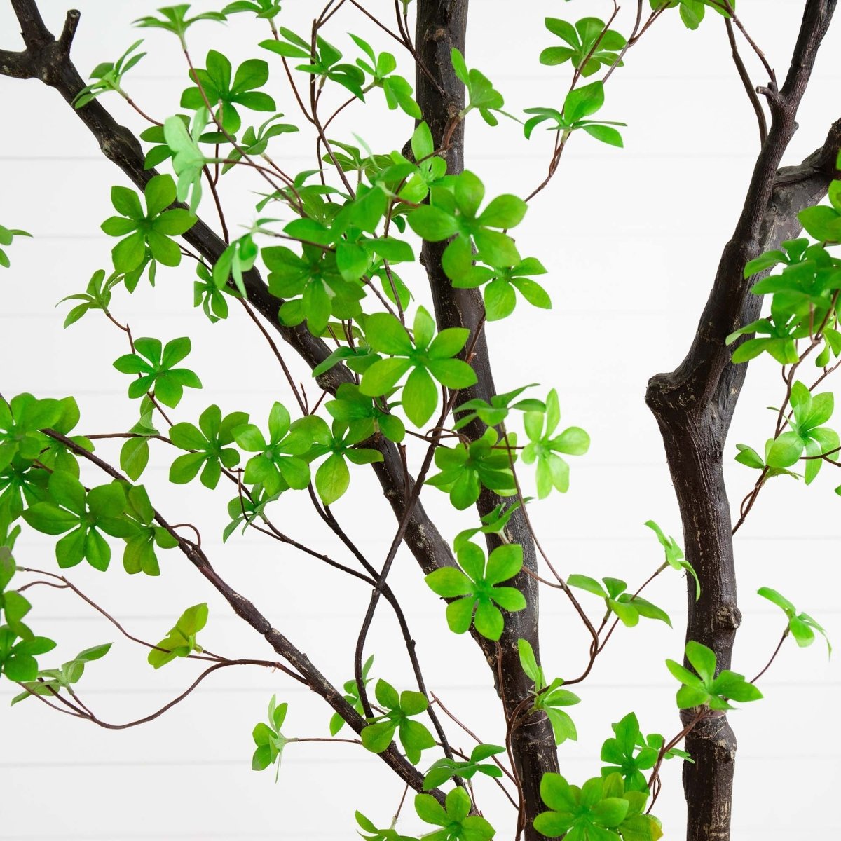  10-ft Artificial Minimalist Enkianthus Tree