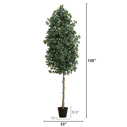  10-ft Faux Ficus Tree | Lifelike Indoor Tree – Ed's Plant Shop